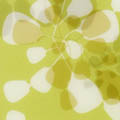 Graphic-bloom lime